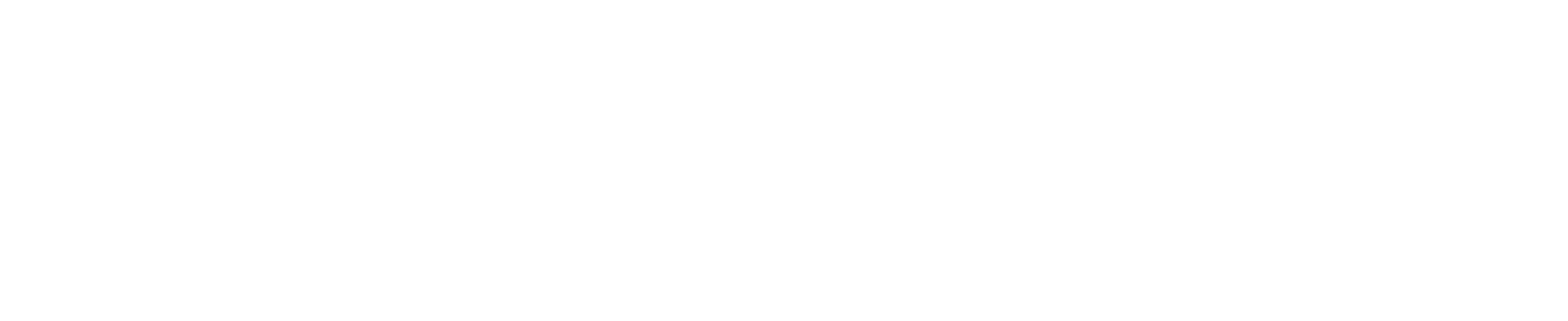 Airius logotype white